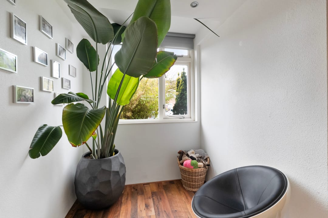 Photo 11 of Wierbalg 1240