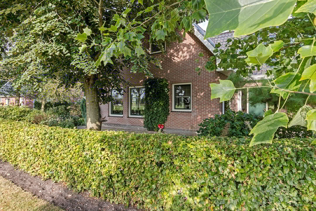 Photo 8 of Tjongerpad 12