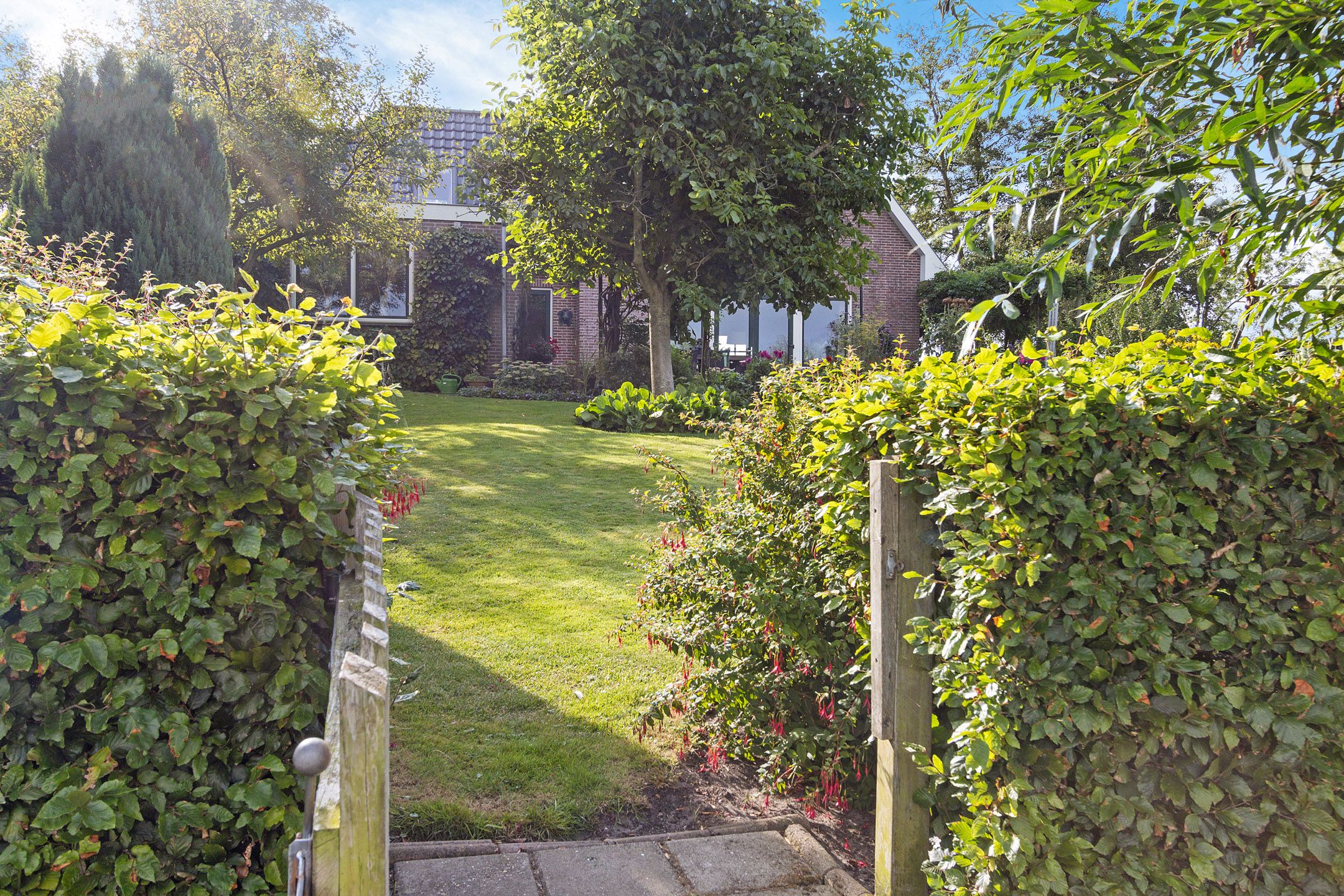 Photo 42 of Tjongerpad 12