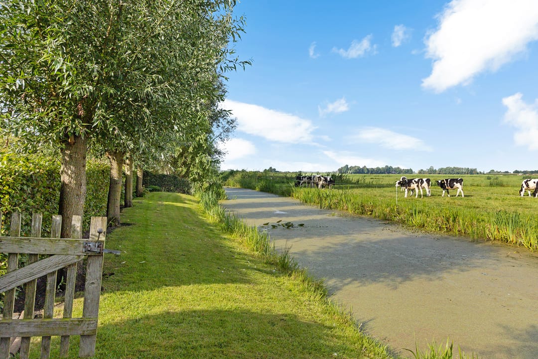 Photo 43 of Tjongerpad 12