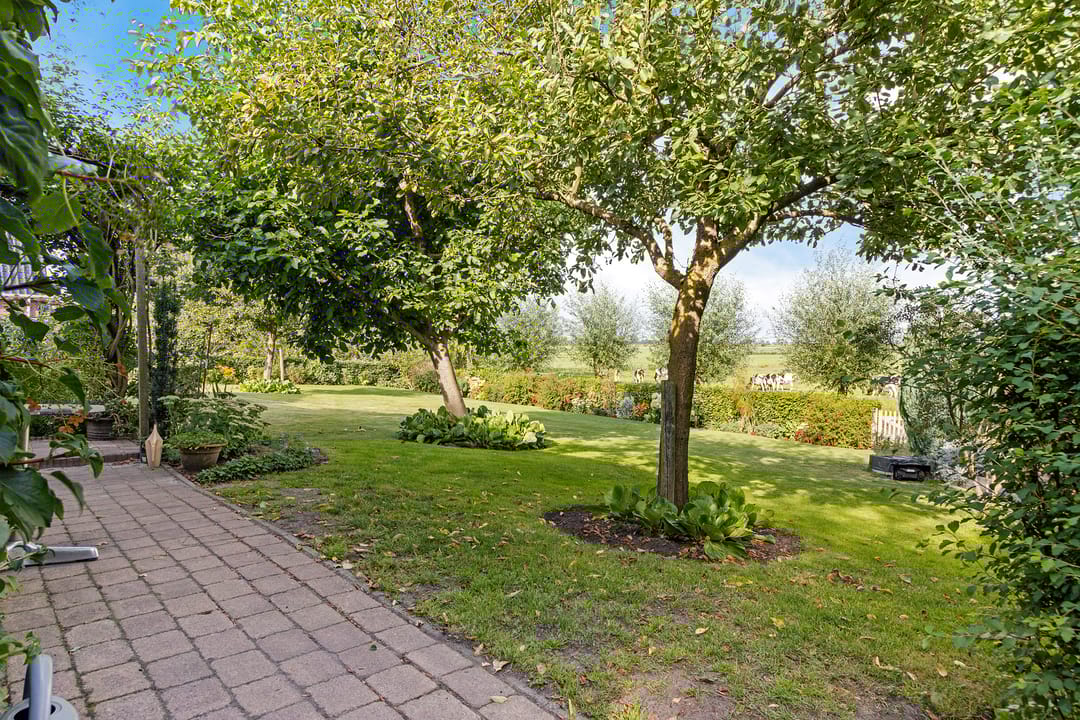 Photo 41 of Tjongerpad 12