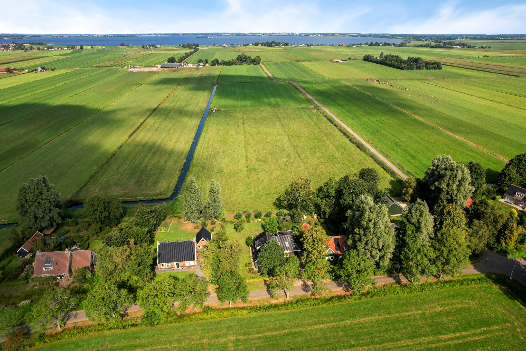 Photo 6 of Tjongerpad 12