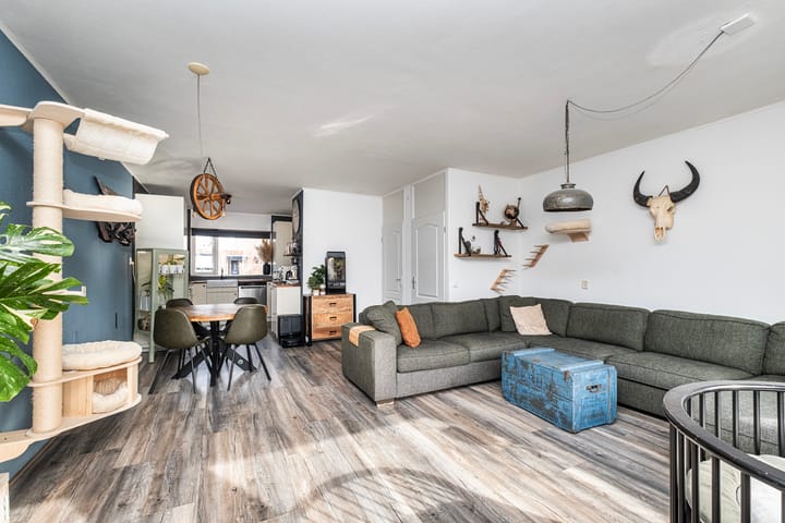 Foto 4 van Hondsrug 8