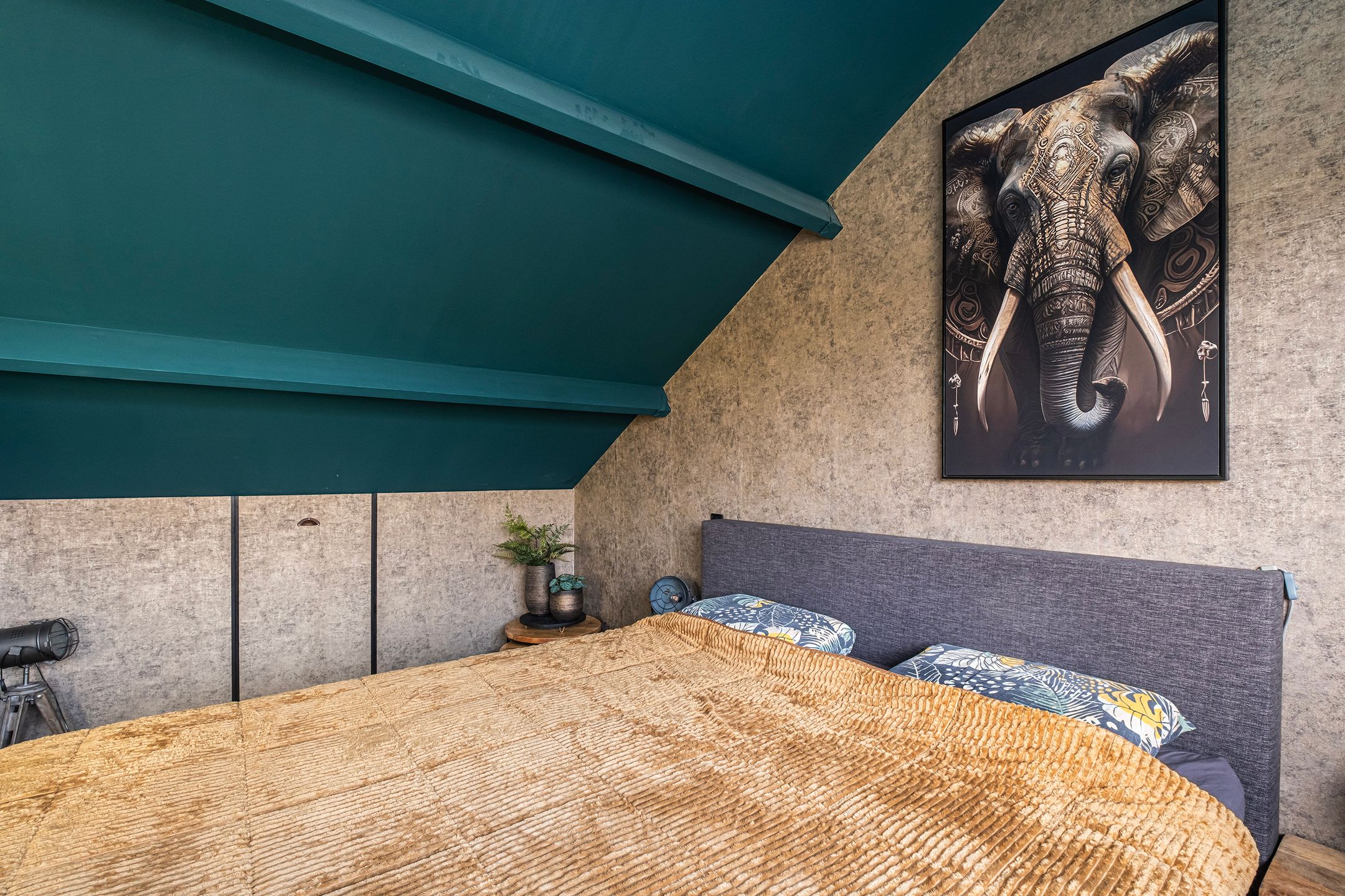 Foto 18 van Hondsrug 8