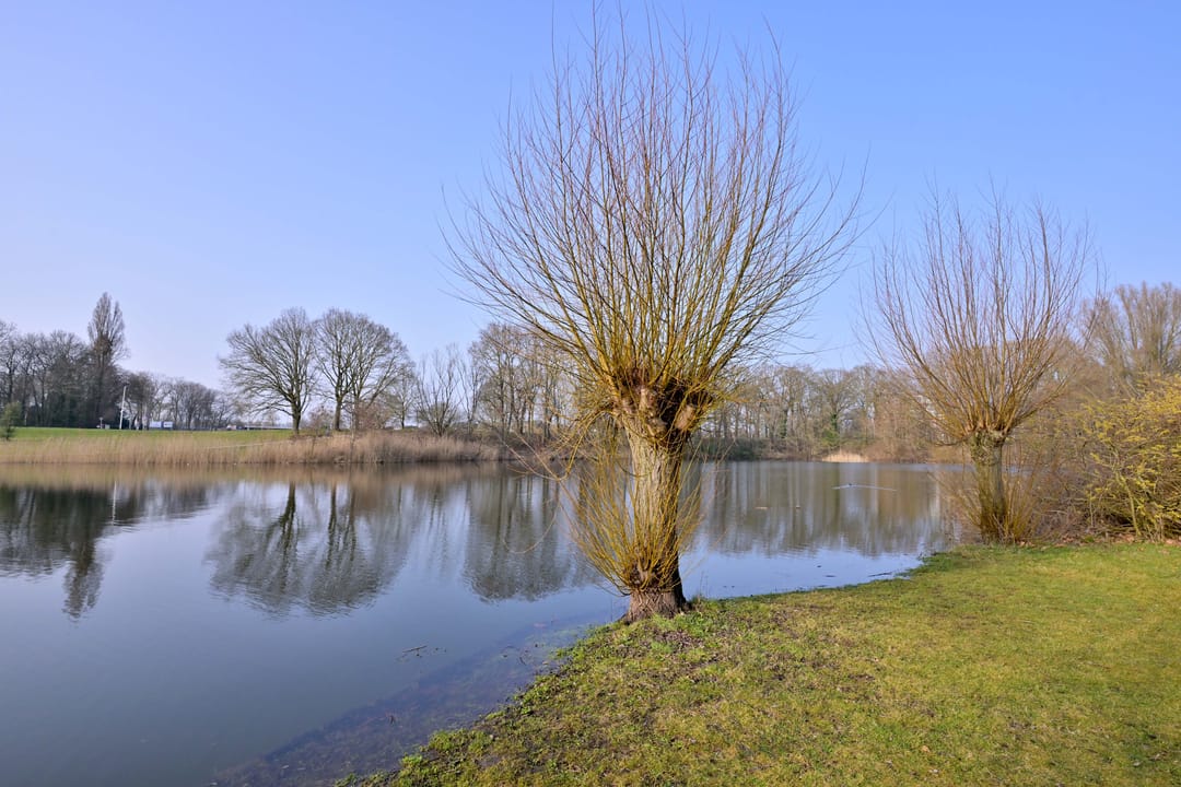 Foto 43 van Jan Luykenlaan 44