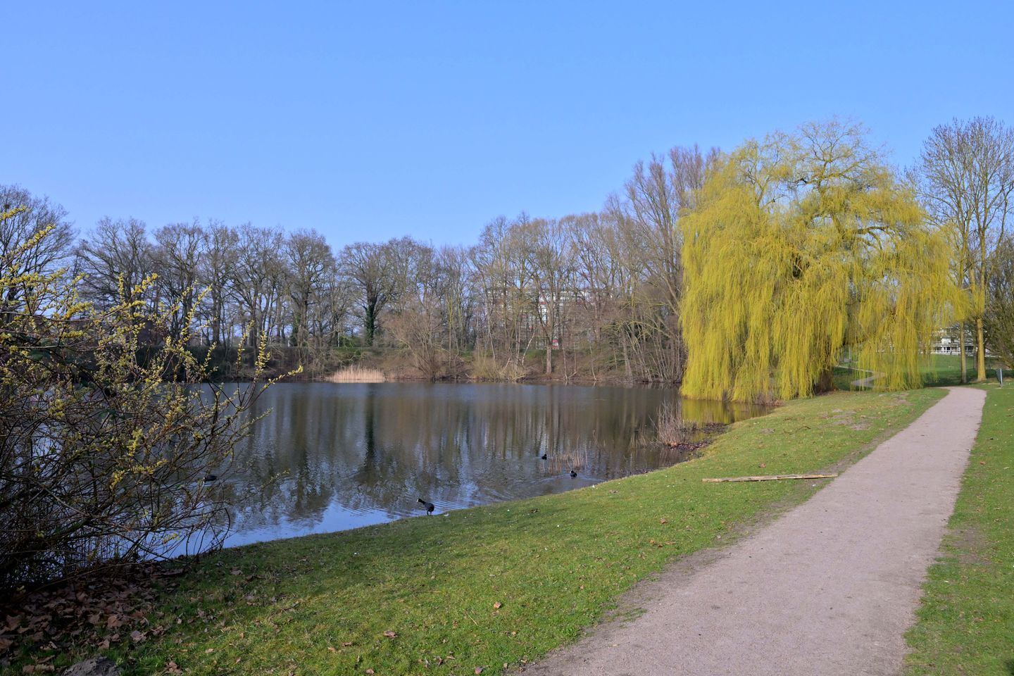 Foto 44 van Jan Luykenlaan 44