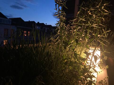 Photo 36 of Heemskerckstraat 2-B