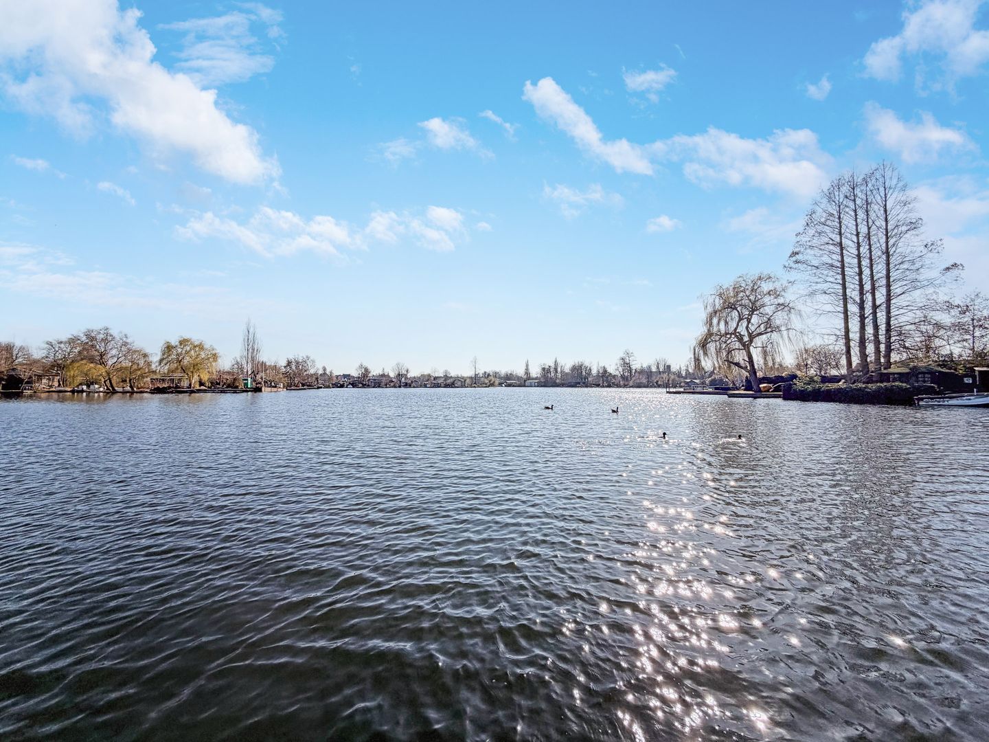 Photo 29 of Bergse Achterplas (144)