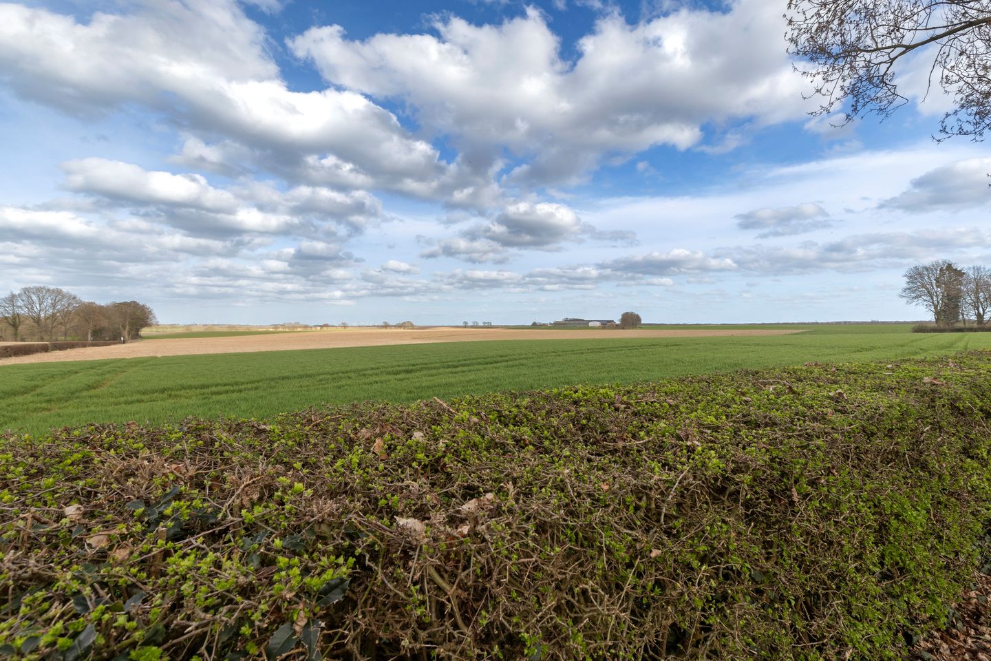 Foto 49 van Maastrichterweg 1