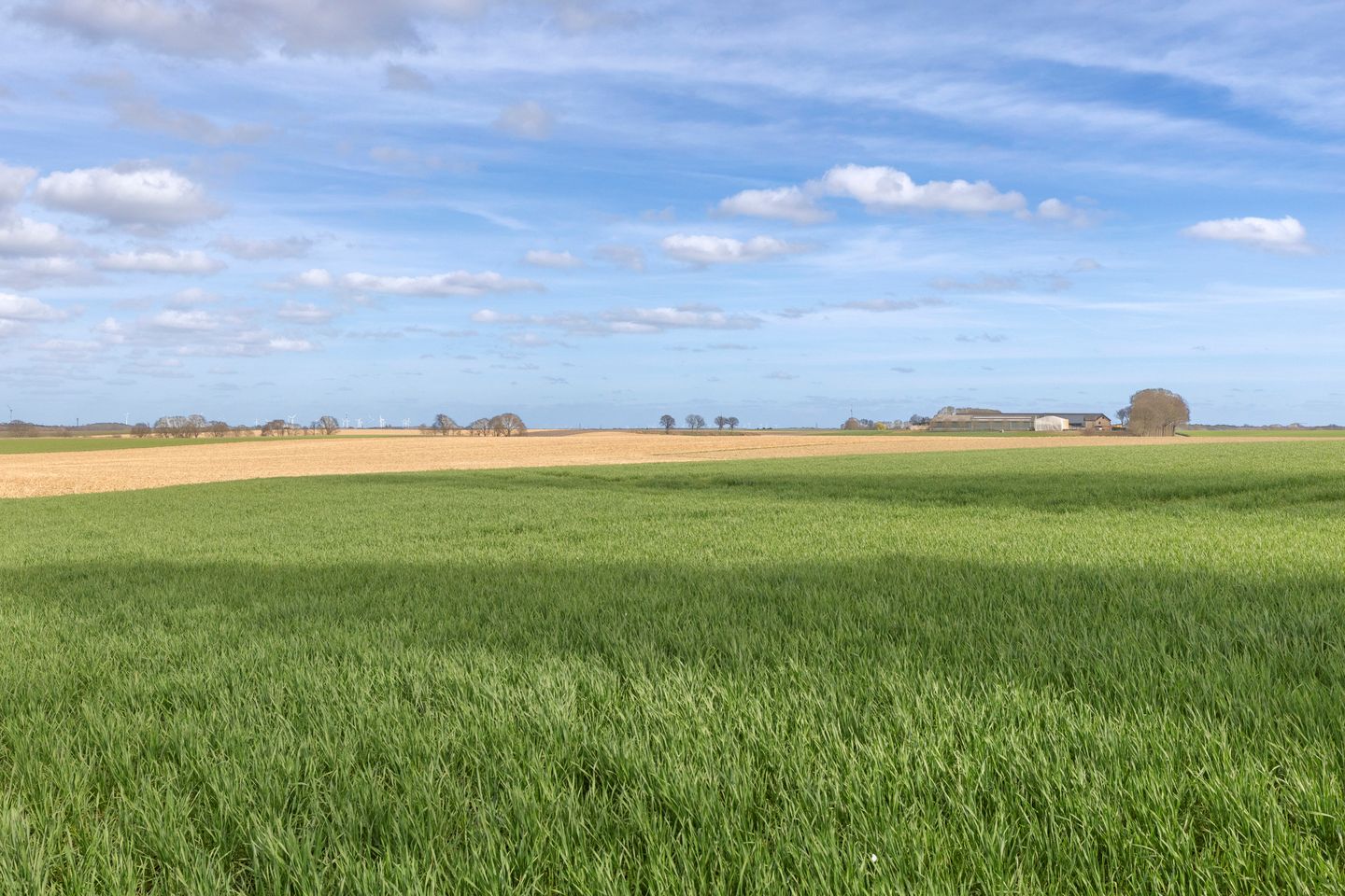 Foto 50 van Maastrichterweg 1