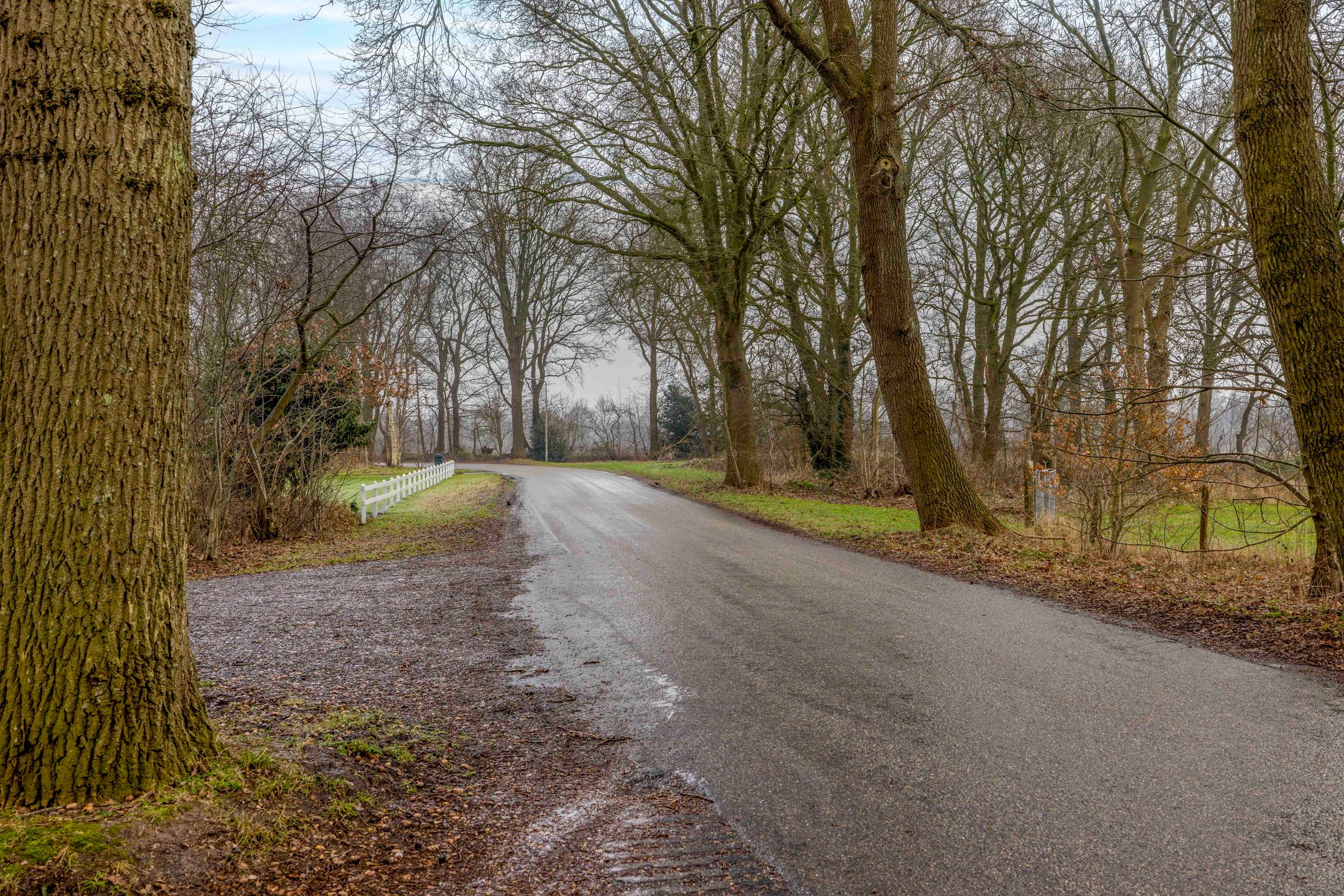 Foto 48 van Joerelaan 1-07