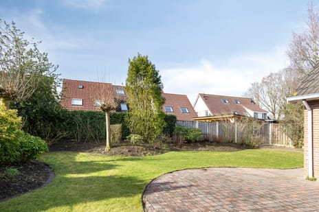 Kamille 3 tertiary image