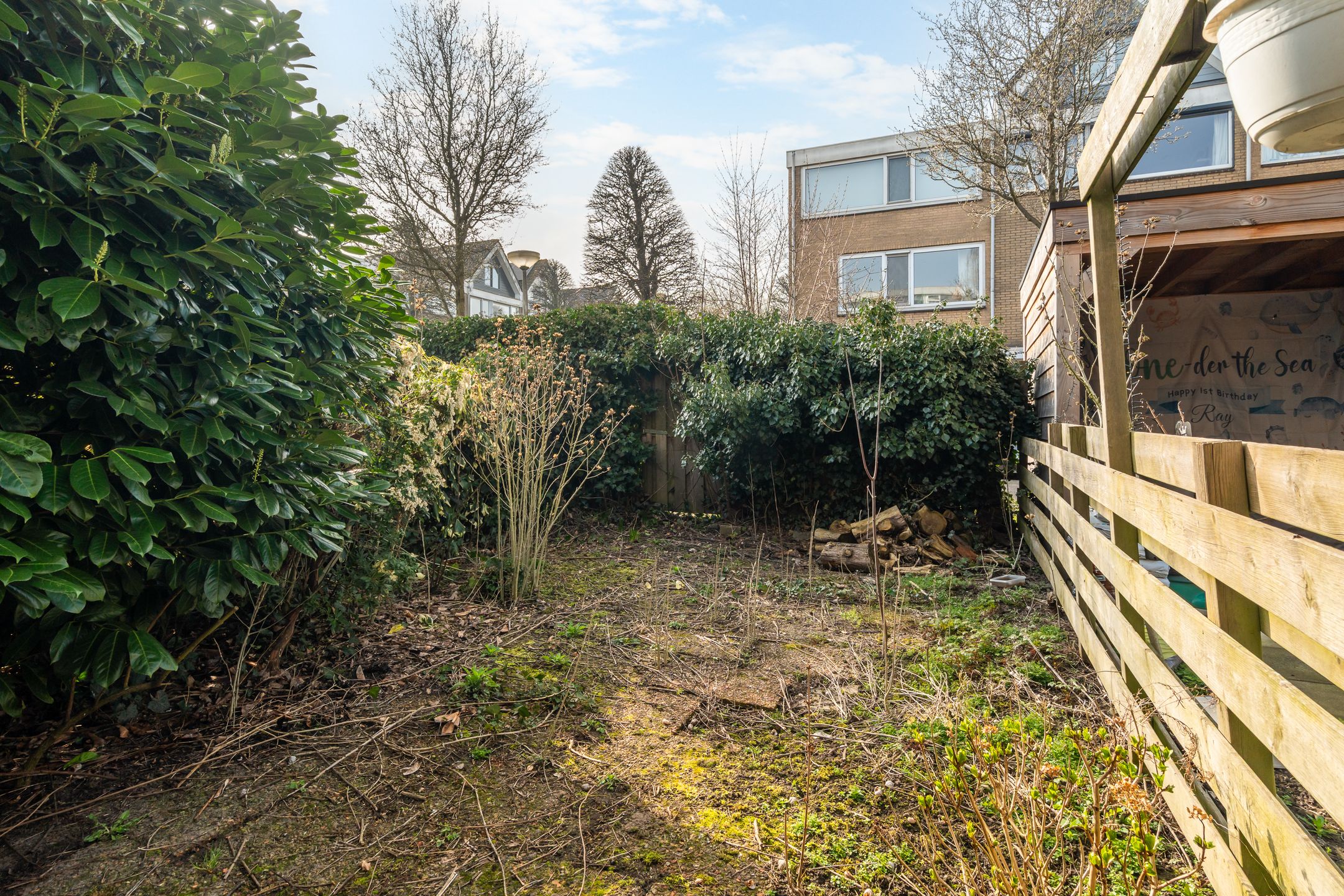 Foto 30 van Ribesstraat 3