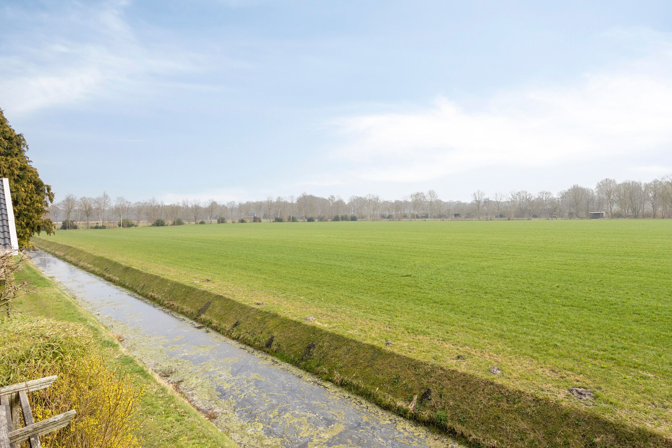 Photo 3 of Juffrouw Bosstraat 11