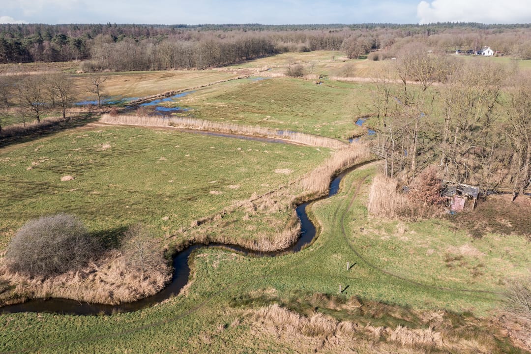 Foto 61 van Naaldakker 21