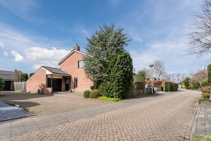 Foto 5 van Beemdgras 13