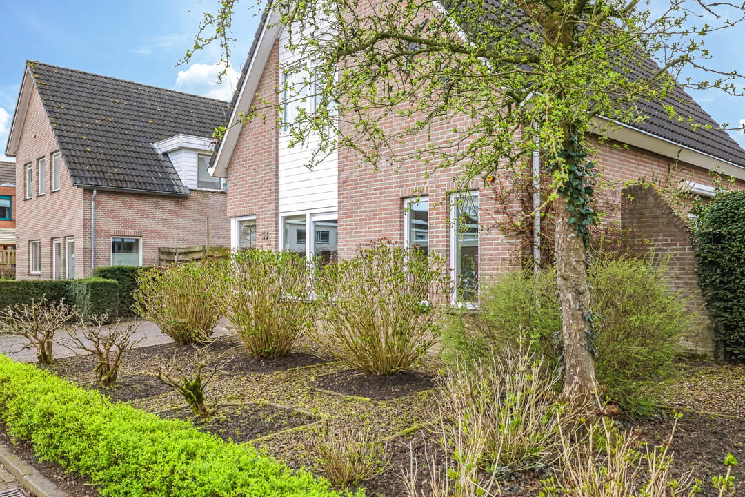 Foto 7 van Pomona 36