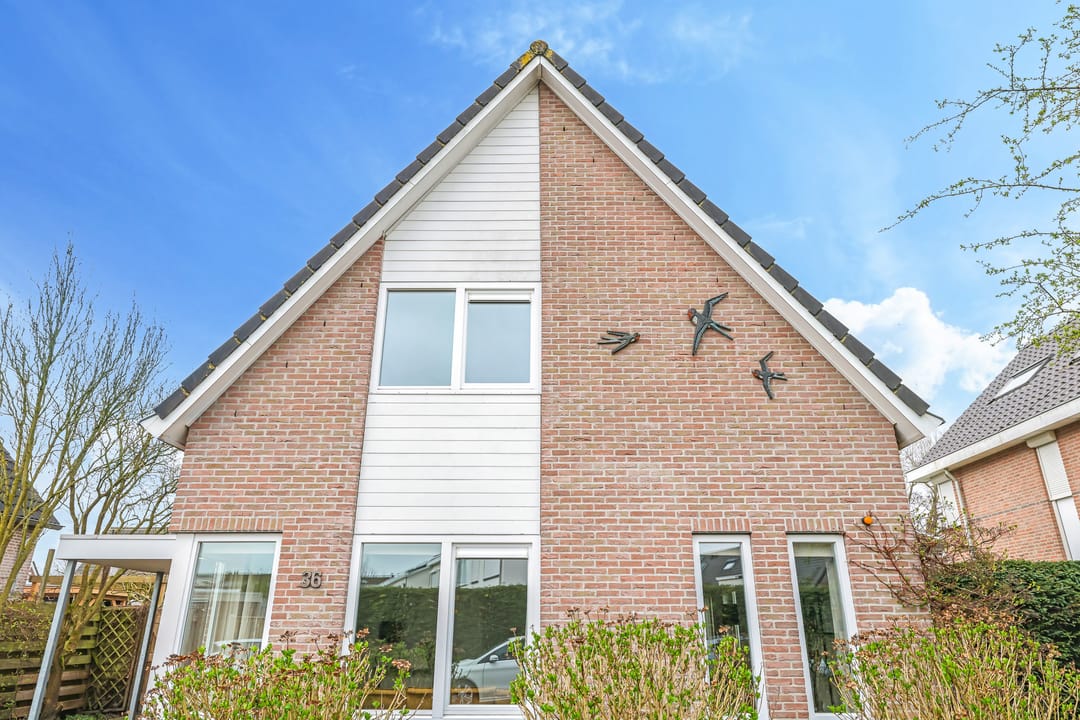 Foto 8 van Pomona 36