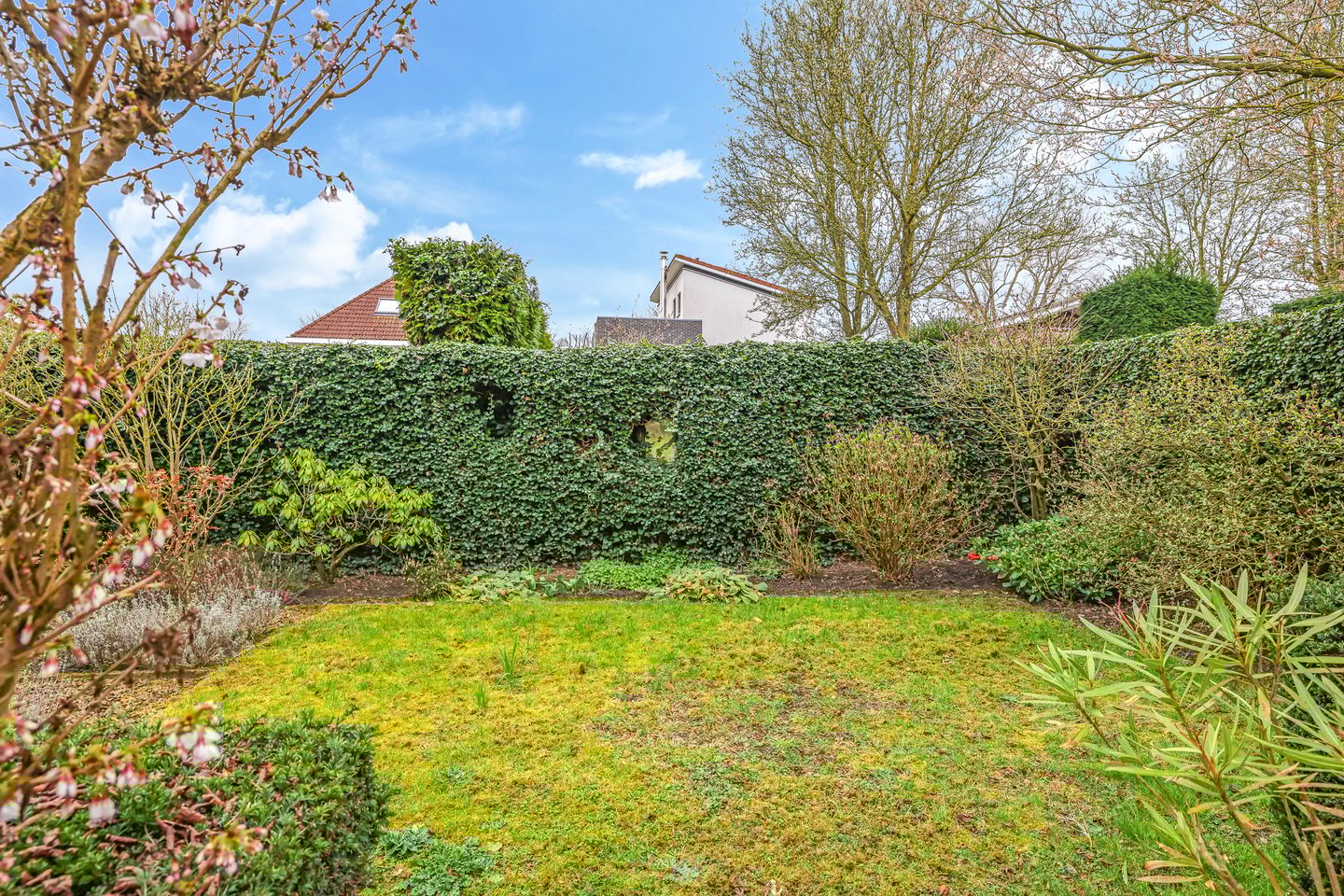 Foto 50 van Pomona 36