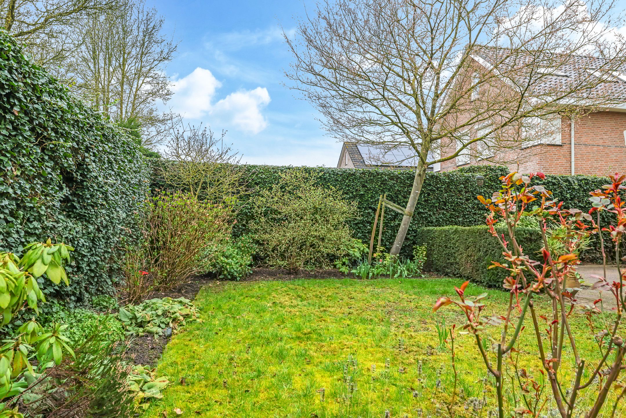 Foto 51 van Pomona 36