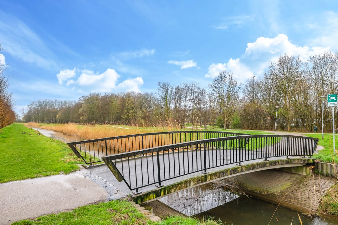 Foto 77 van Pomona 36