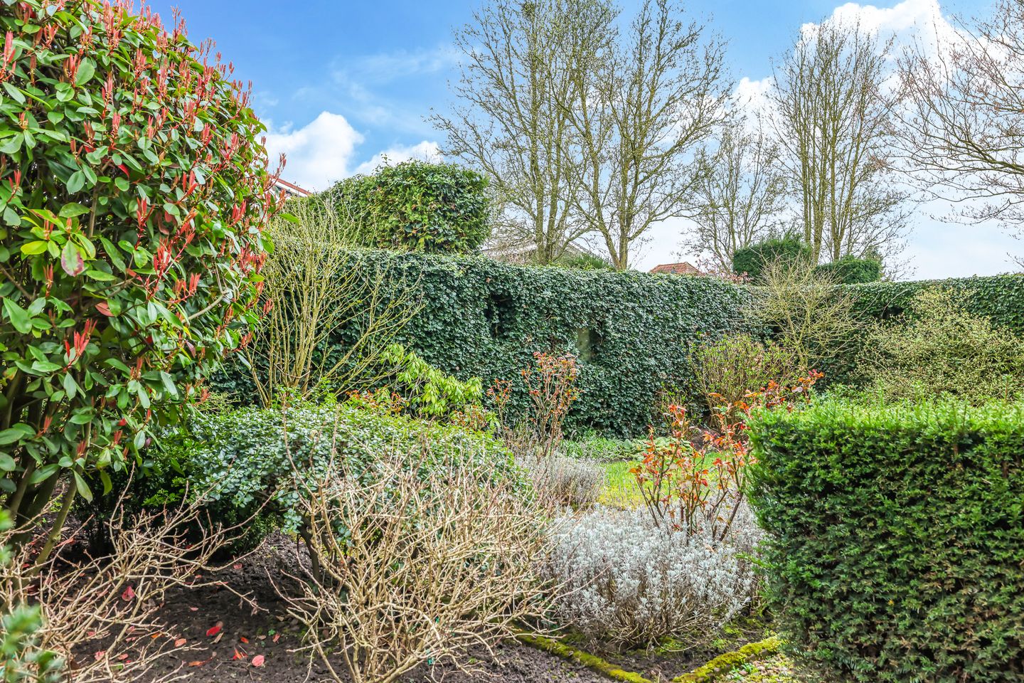 Foto 55 van Pomona 36