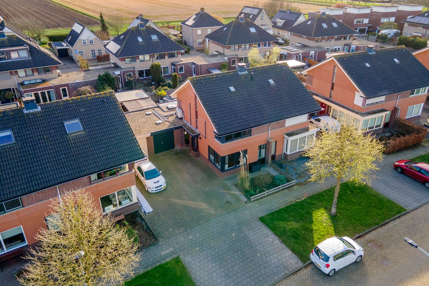 Photo 50 of Ruisvoorn 18