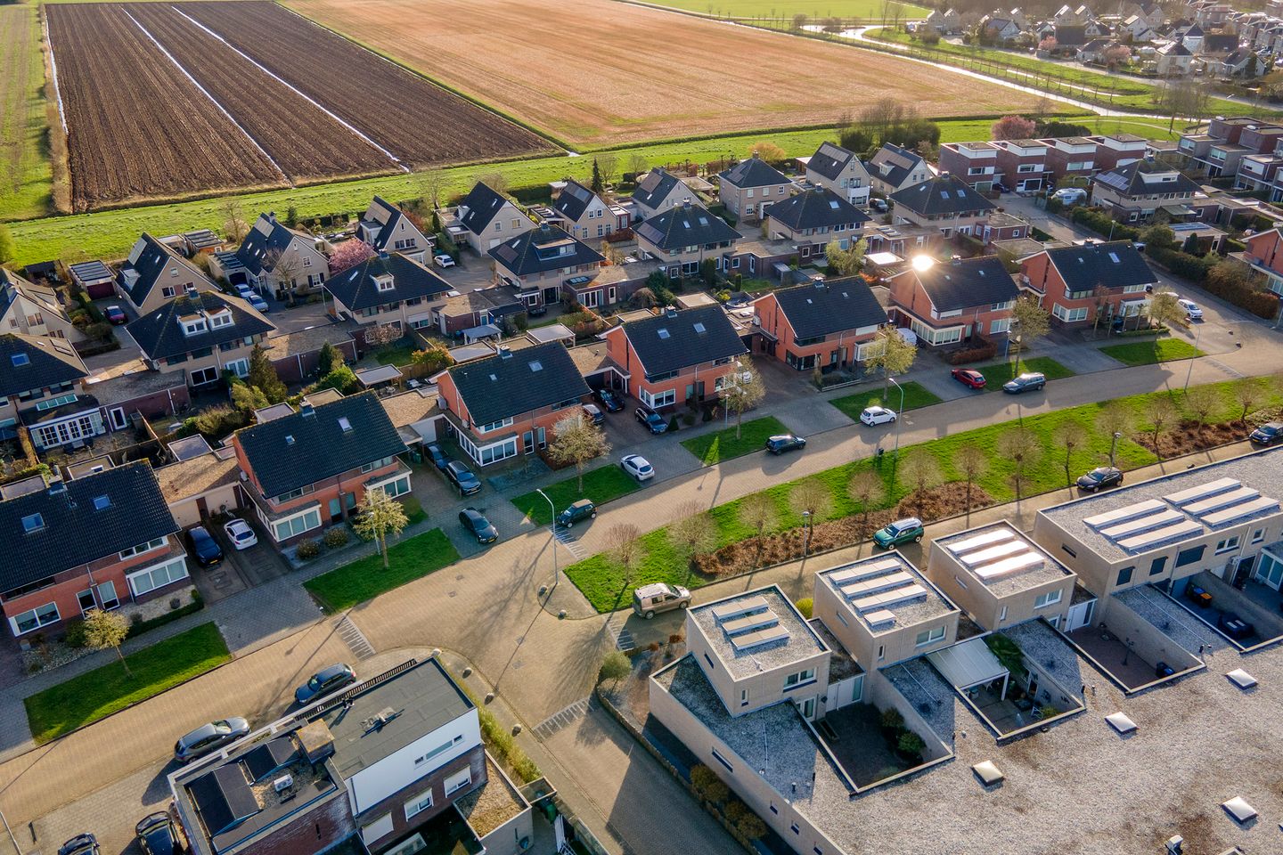 Photo 55 of Ruisvoorn 18