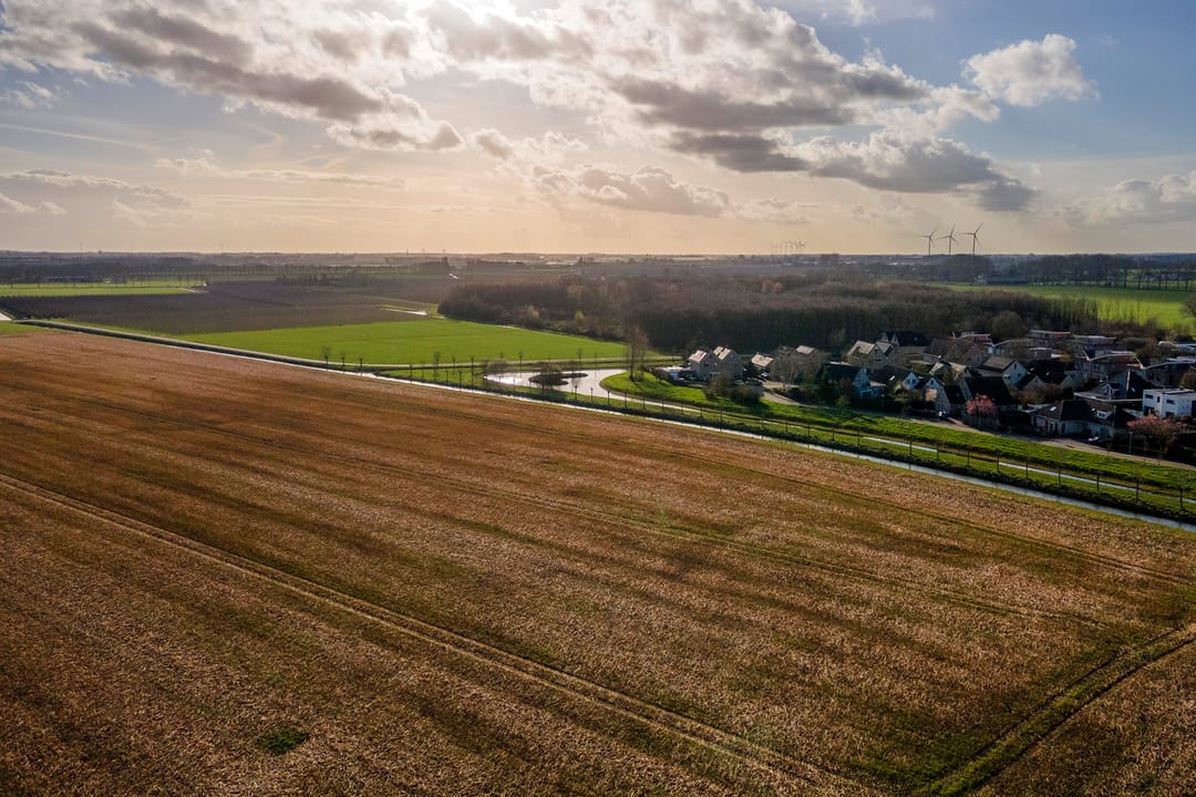 Photo 56 of Ruisvoorn 18