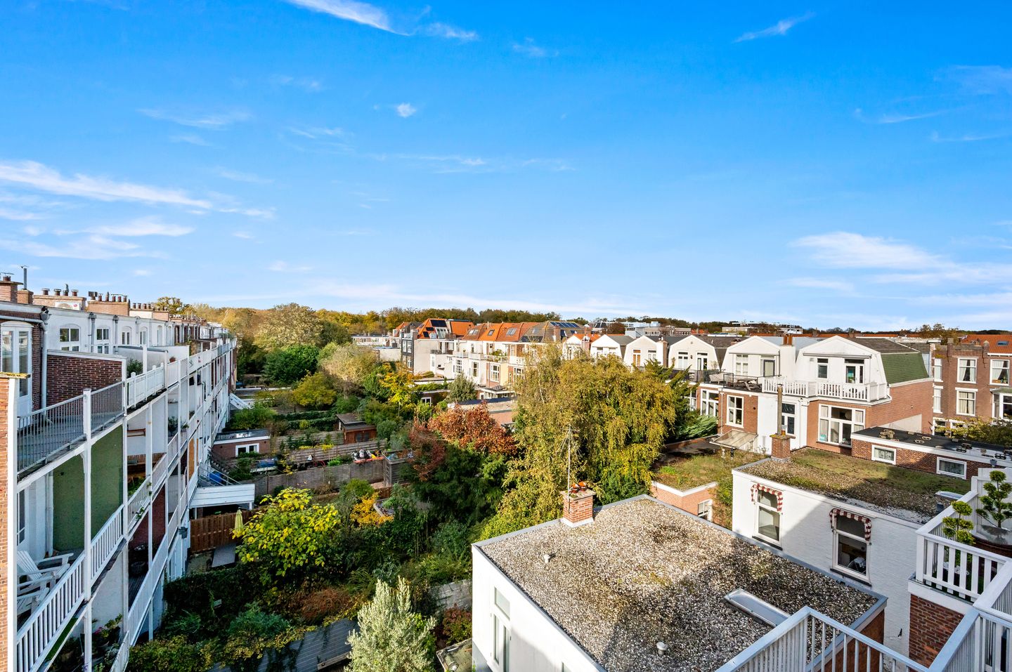 Foto 44 van Rijklof van Goensstraat 44