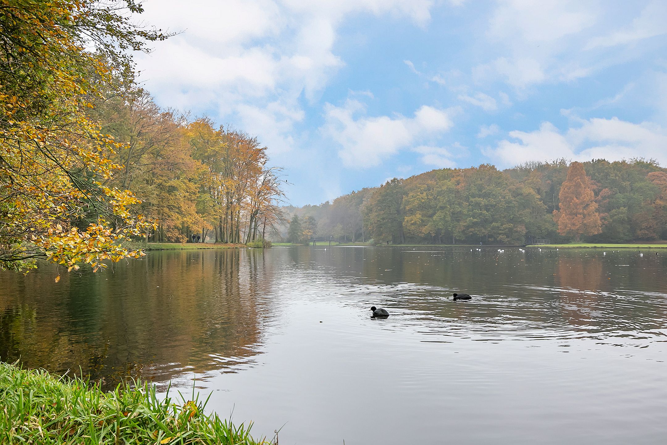 Foto 48 van Rijklof van Goensstraat 44