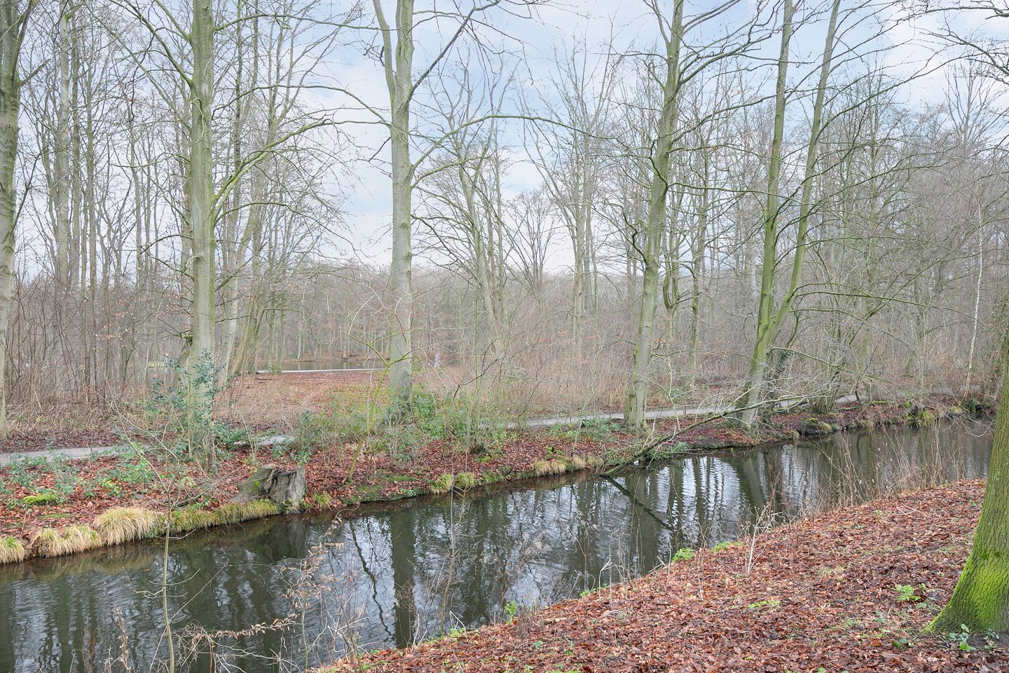 Foto 49 van Rijklof van Goensstraat 44