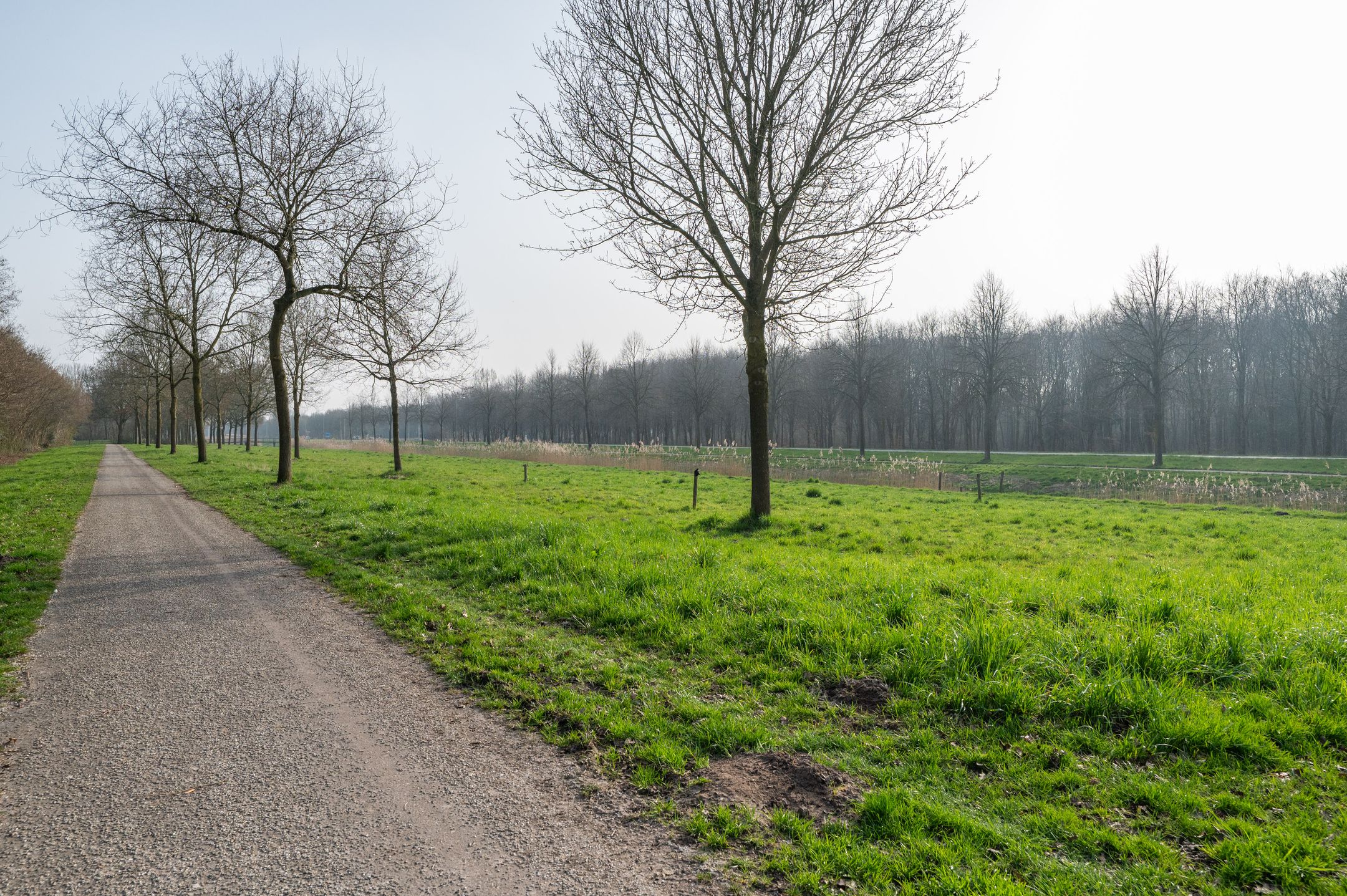 Foto 54 van Samoen 13