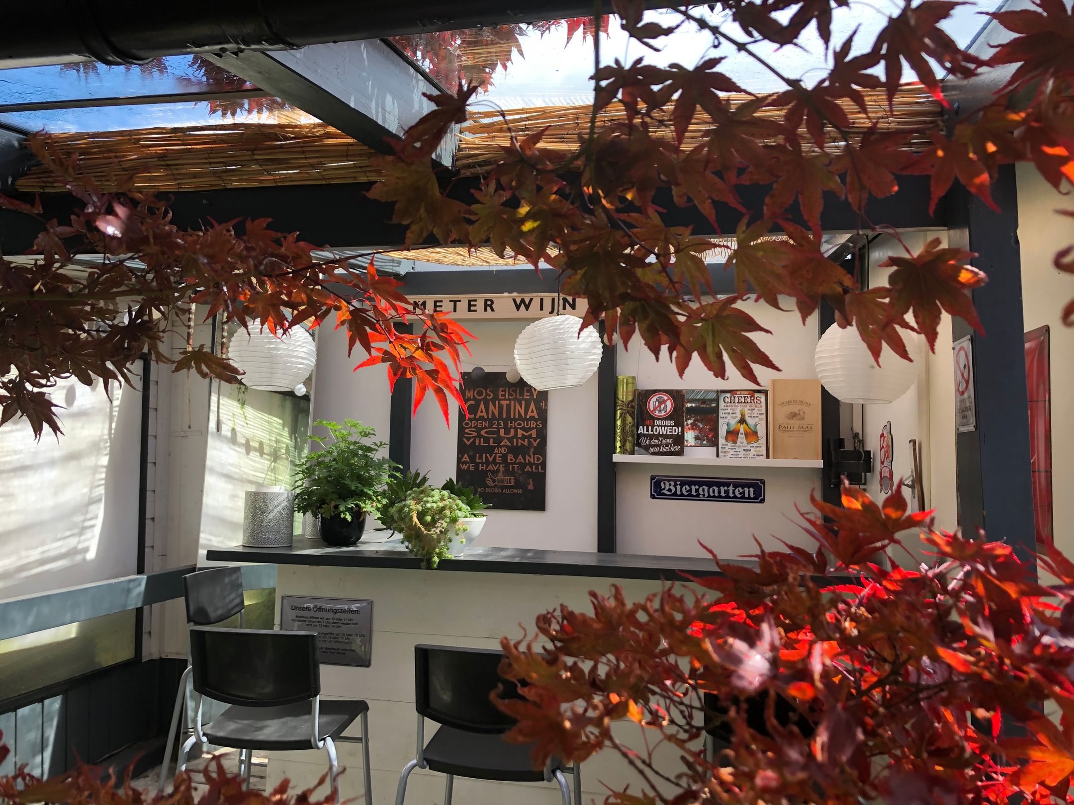 Foto 60 van Samoen 13