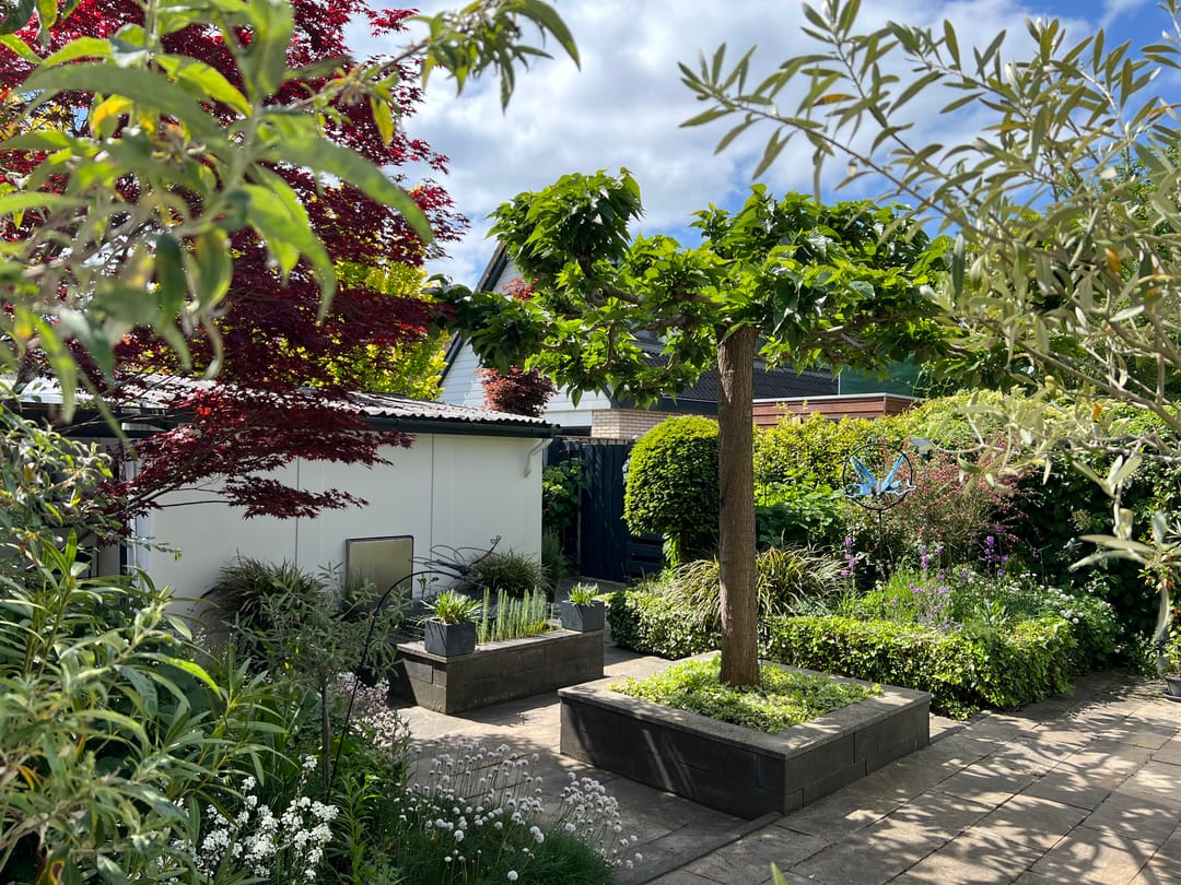 Foto 61 van Samoen 13