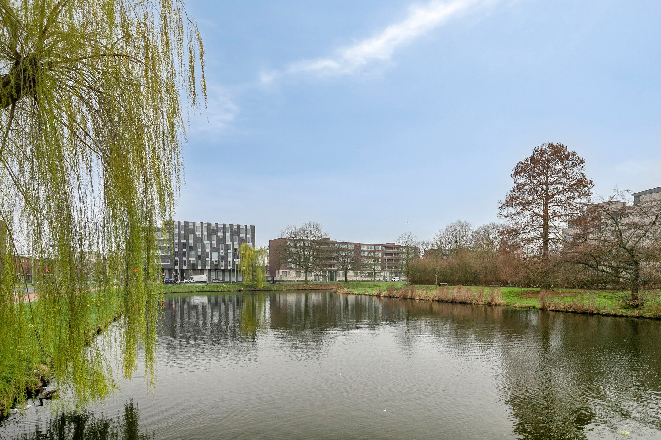 Foto 27 van Van Borselenstraat 40