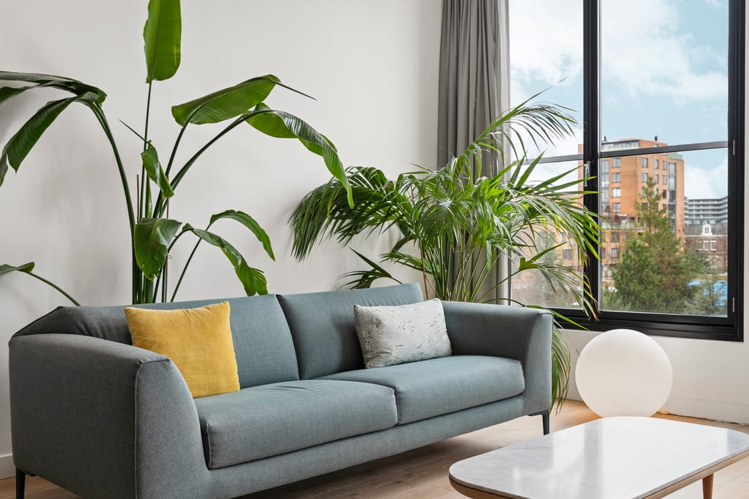 Foto 8 van Jacob Burggraafstraat 150