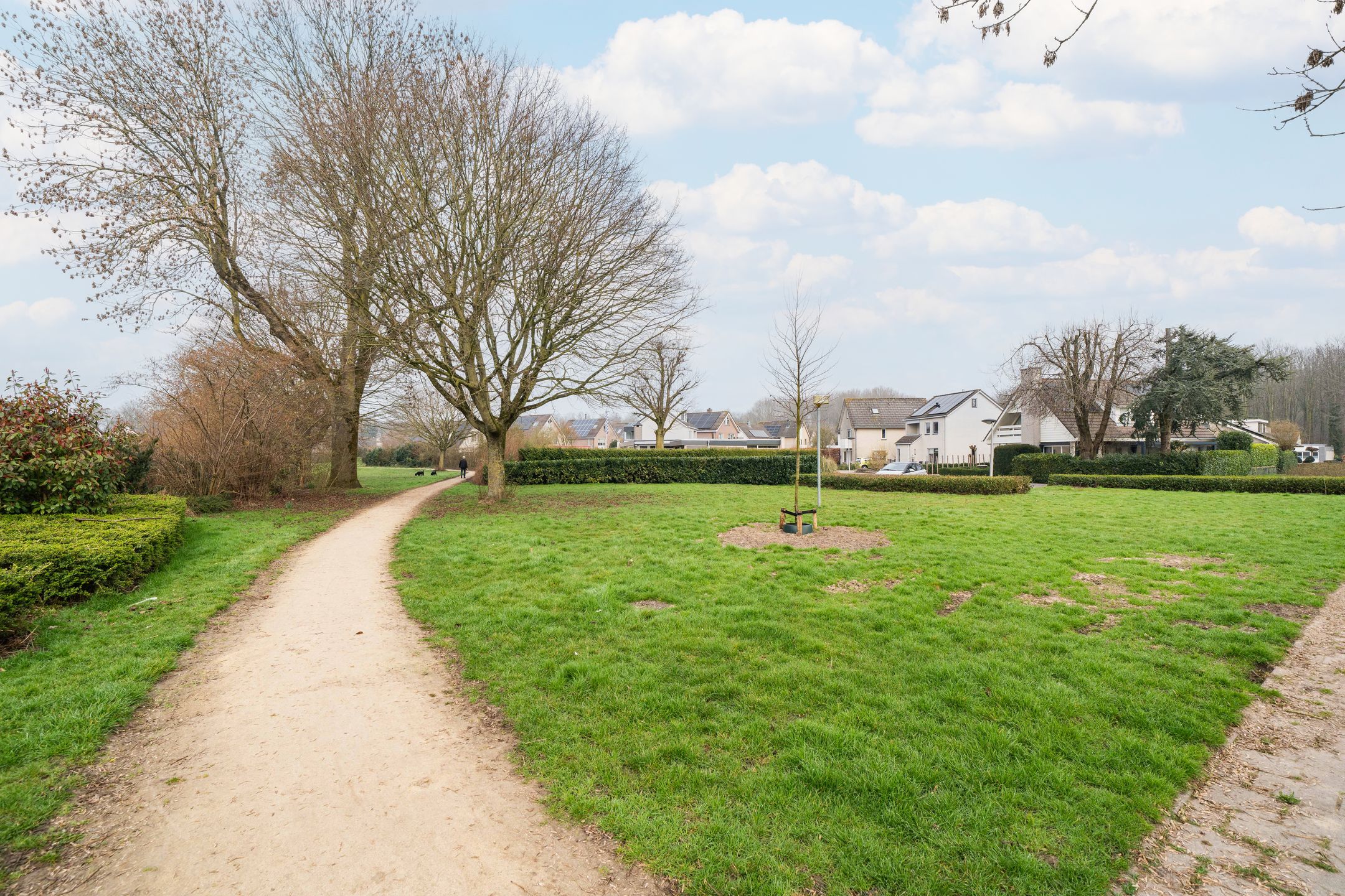 Photo 36 of Het Ruiterpad 4