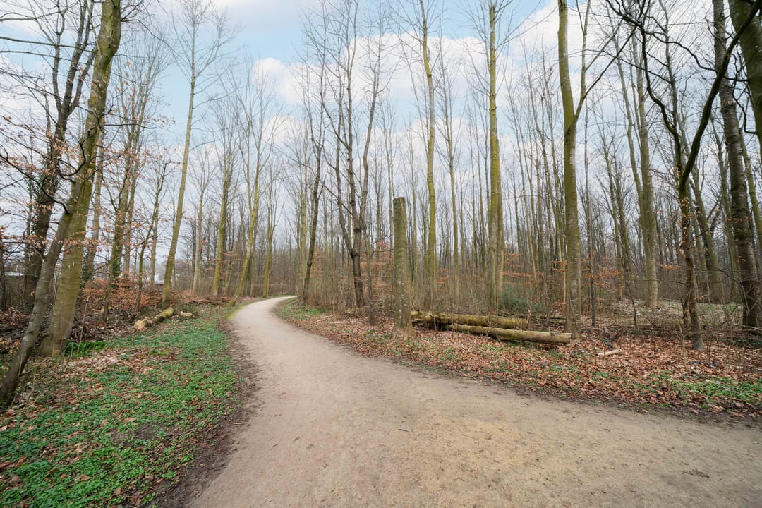 Photo 37 of Het Ruiterpad 4