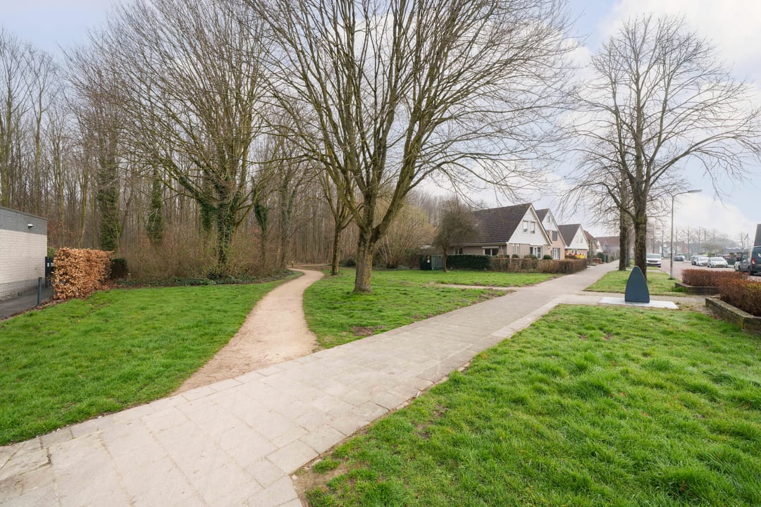 Photo 38 of Het Ruiterpad 4