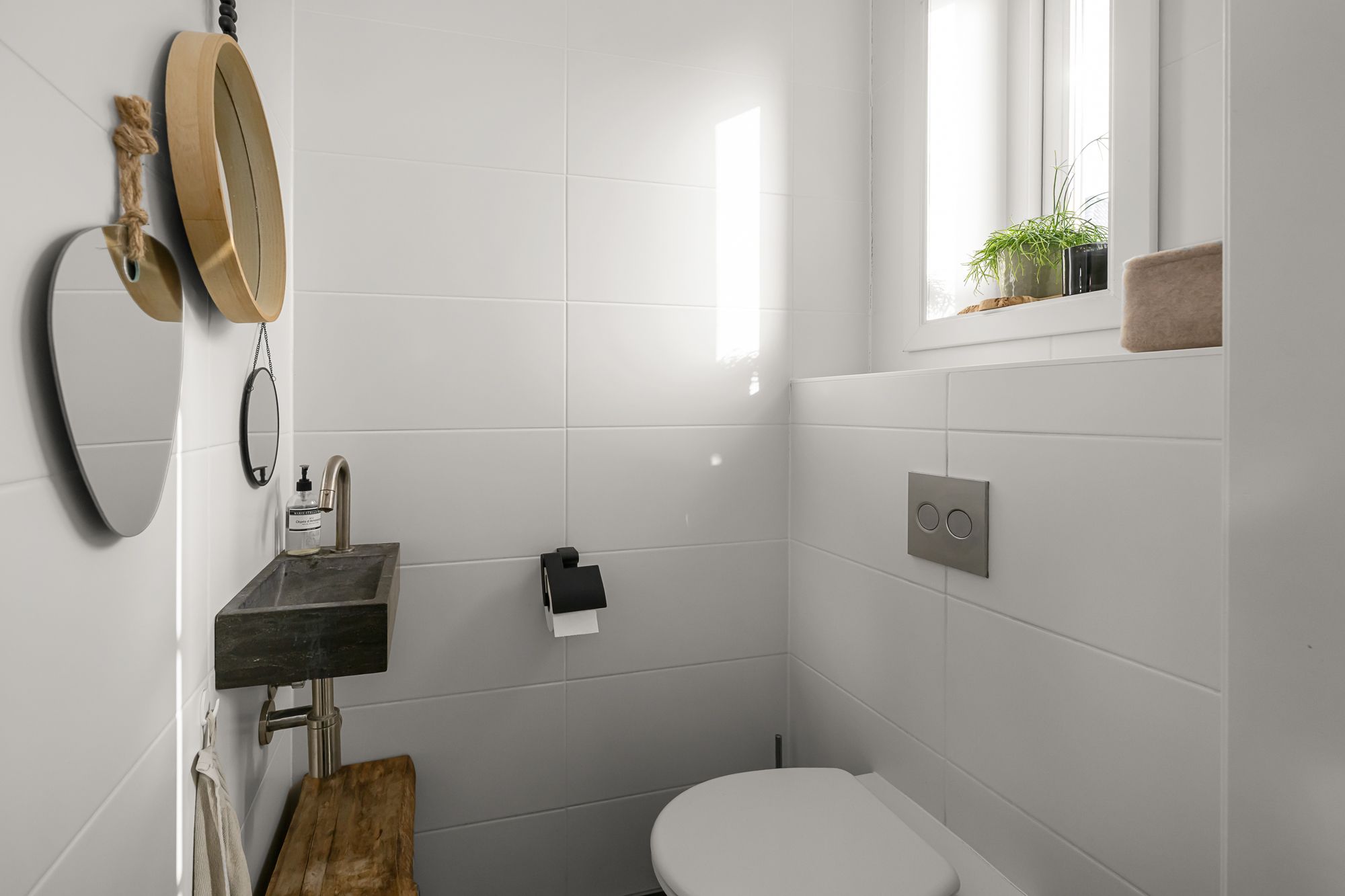 Photo 15 of Liguster 13