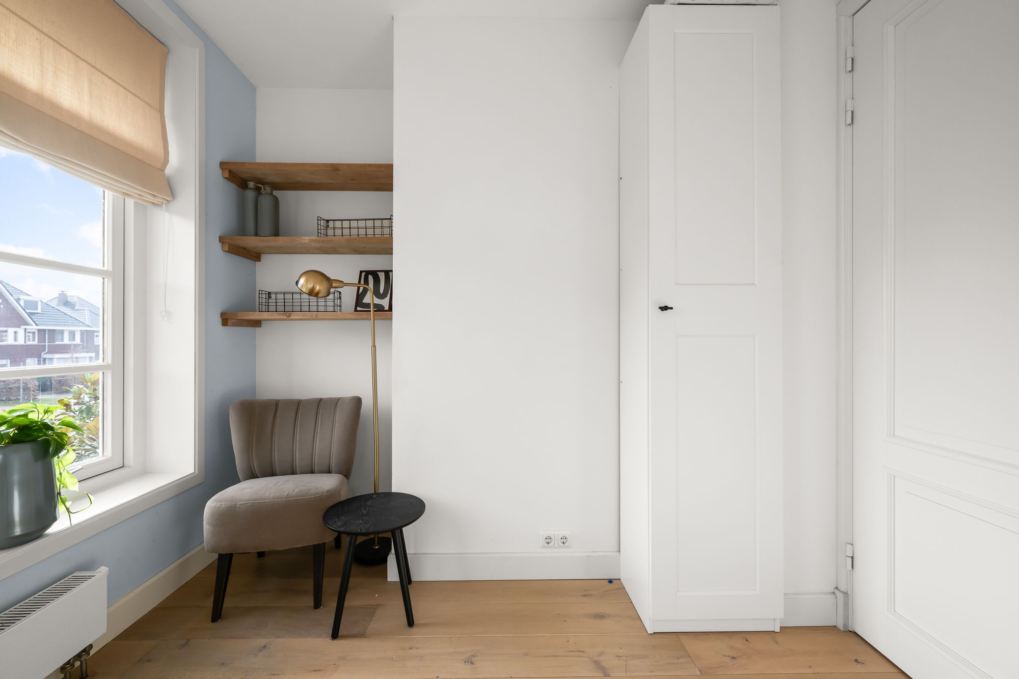 Photo 18 of Liguster 13