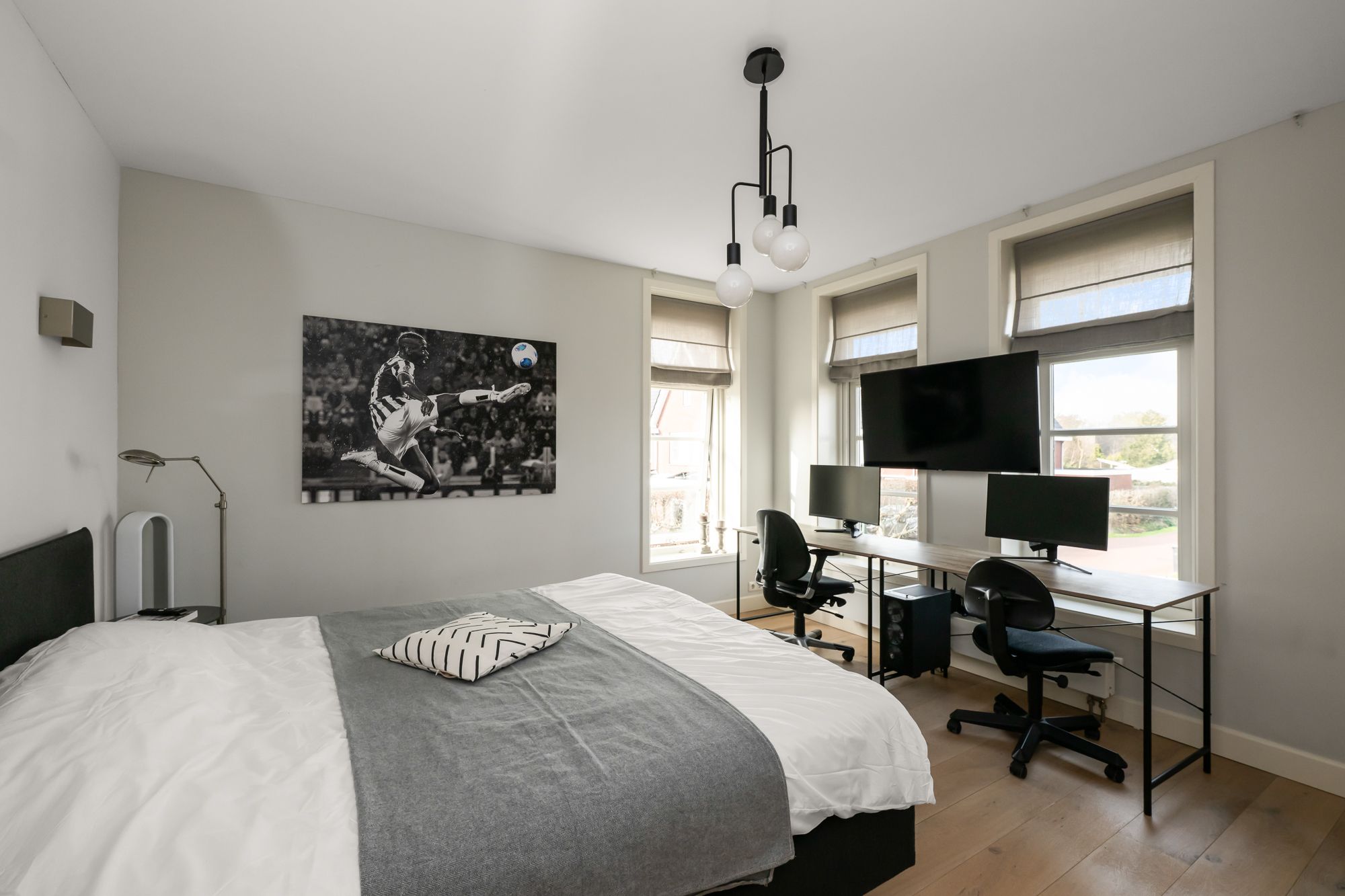 Photo 24 of Liguster 13