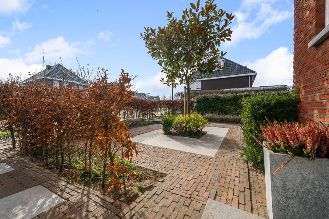 Photo 52 of Liguster 13