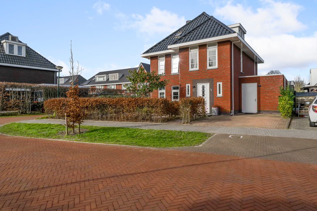 Photo 53 of Liguster 13