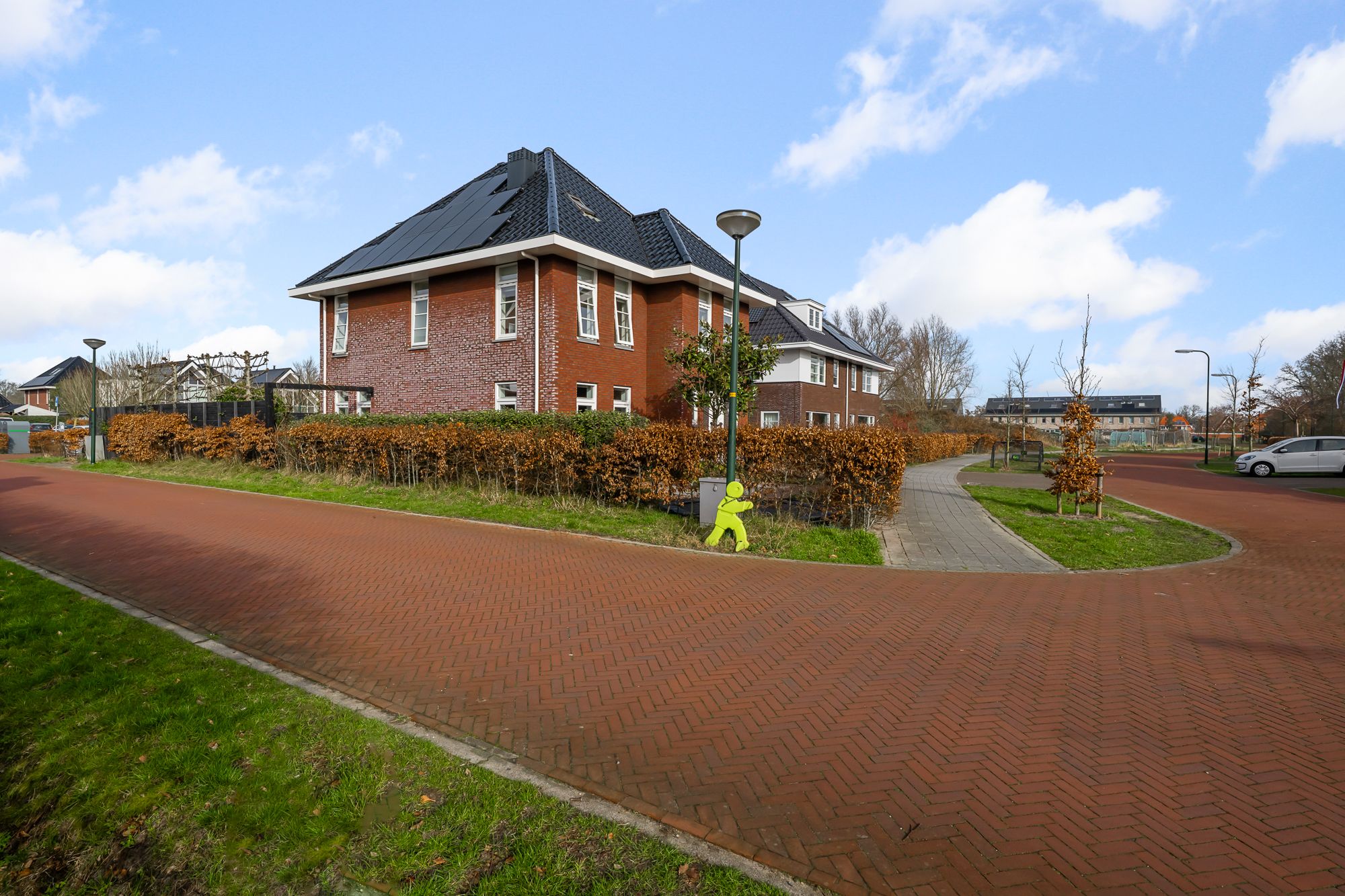 Photo 54 of Liguster 13