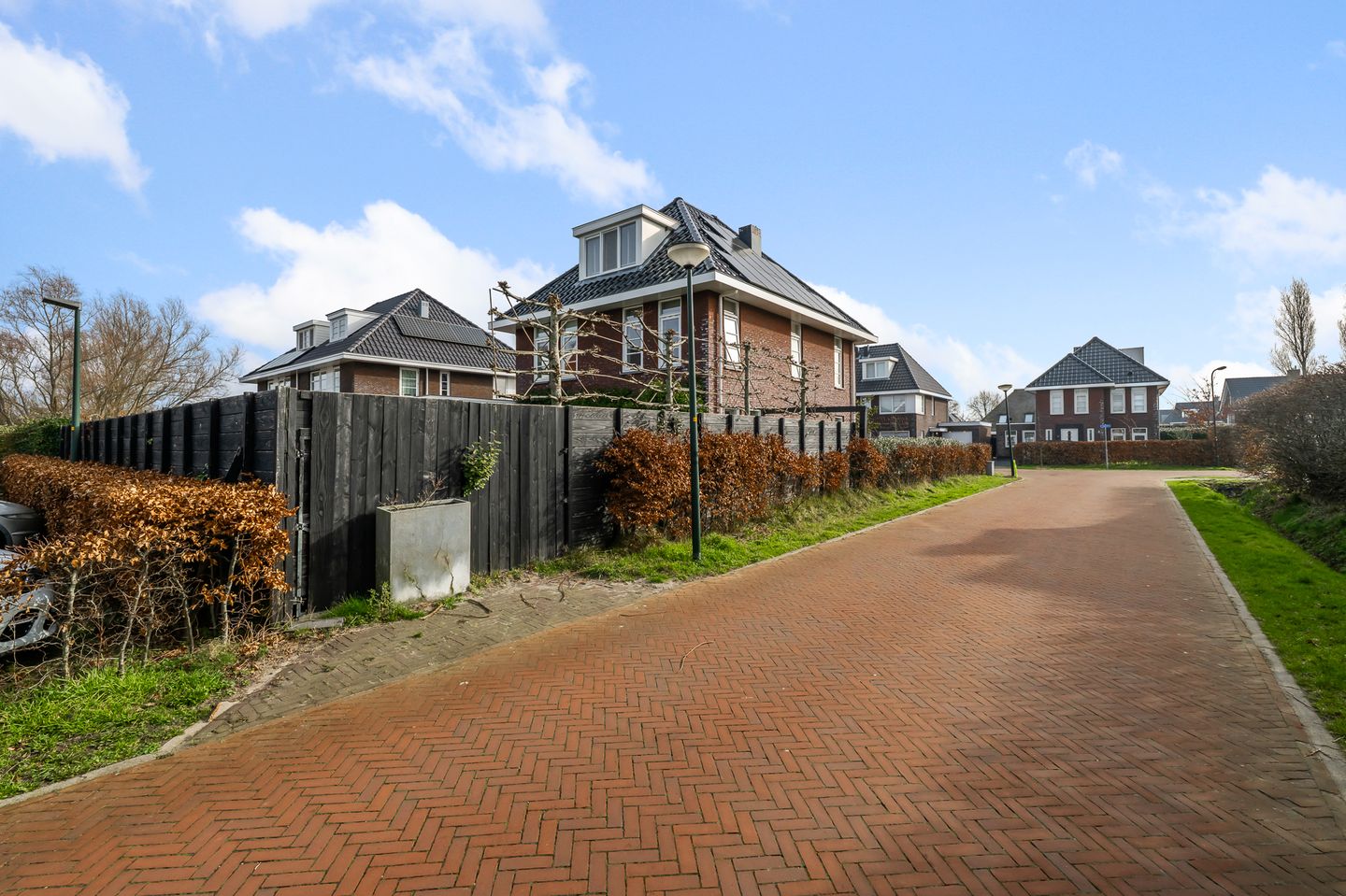 Photo 55 of Liguster 13