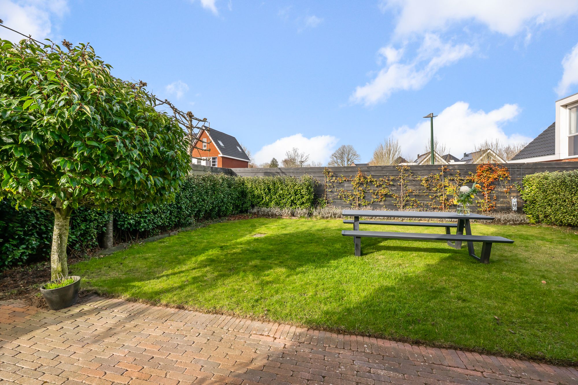 Photo 42 of Liguster 13