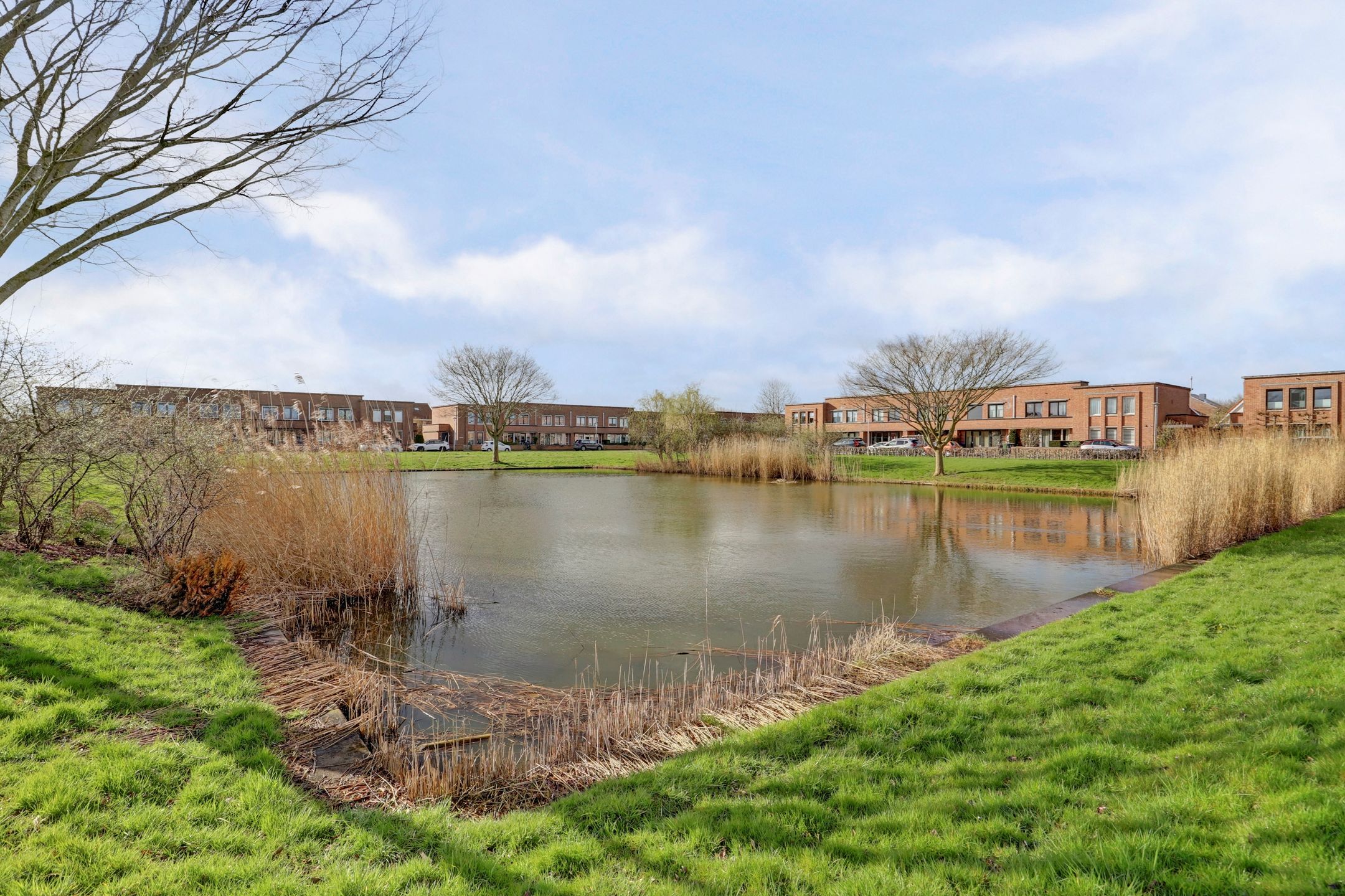 Foto 3 van Lijsterhof 41