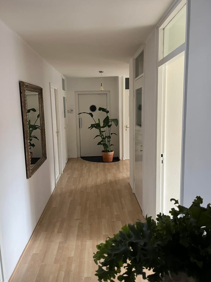 Foto 5 van Hermanus Boexstraat 17